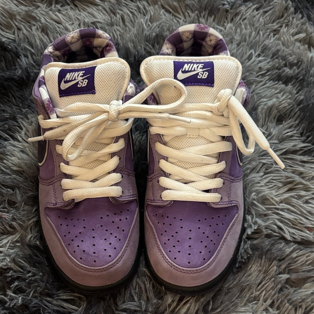 Nike SB Lavender and White Skate Shoes